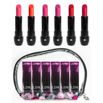 LDMParis lipsticks 6pcs set in PVC vanity case